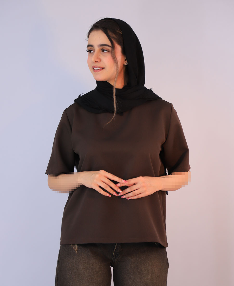 تیشرت تیشرت بیسیک کد 1071 – قهوه ای تیشرت | تیشرت بیسیک کد 1071 – قهوه ای - Image 1